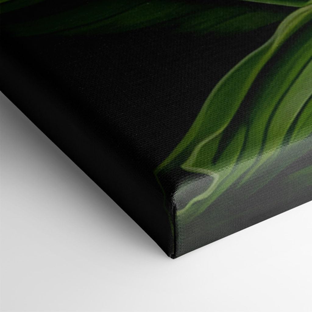 Canvas for Living room. Vibrant Greenery: Striped Leaves Pop Against a Dramatic Black Backdrop, 27 x 18 inch Canvas Wall Art - Ready to Hang - 69x46 cm (27x18 inch)