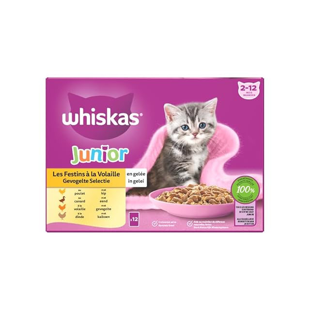 WHISKAS Junior Comida para Gatito, 48 Bolsas de Gato Junior, 4 Variedades,(4 Paquetes de 12 x 85 g)