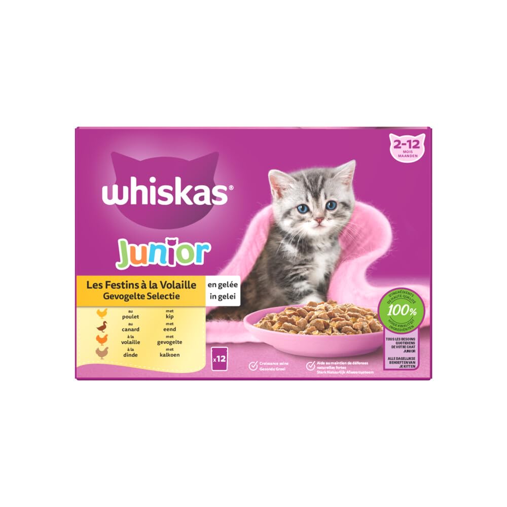 WHISKAS Junior Comida para Gatito, 48 Bolsas de Gato Junior, 4 Variedades,(4 Paquetes de 12 x 85 g), Comida Húmeda Gatito Completa y Equilibrada