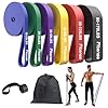 Fitense Resistance Bands Set – Pull Up Bands for Men Women, Exercise Bands Resistance with Door Anchor, Training Poster & Pouch for Body Stretching, Pull Up Assist