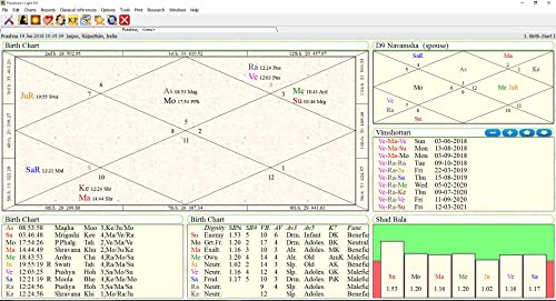Image of Parashara's Light 9.0 Astrology Software (Professional Edition) - (English + HIndi) Bilingual for Windows (USB Pendrive)