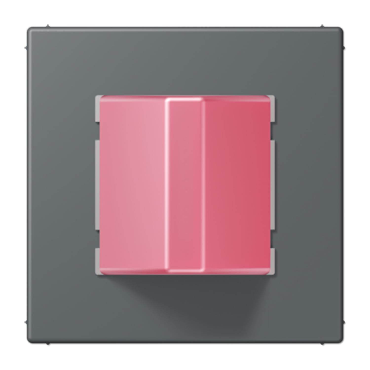 Module d'appel LC32010 JUNG NRSLC0834RM202 pour système de communication
