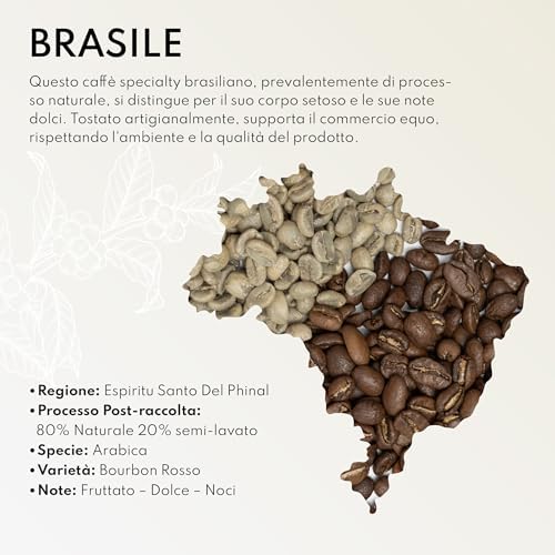 Bocono Specialty Coffee - Specialty Coffee - Scatola da 10kg di Caffè in Grani dal Brasile - Tostatura Medio-Chiara. Chicchi di Caffè Naturale Arabica per Espresso, V60