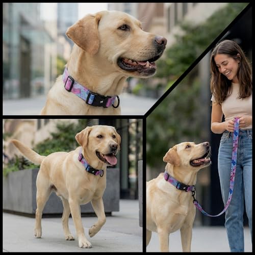 Image of Tuff Pupper Premium Adjustable Dog Collar for Medium Boy & Girl Dogs, Stylish Pattern Collars Designed in USA, Quick Release Buckle, PurpleHaze Print, Medium (1 Inch Wide x 13-18 Inch Neck)