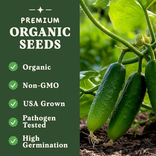 image for Seedboy Organic Cucumber Seeds for Planting Indoor and Outdoor, Non-GM