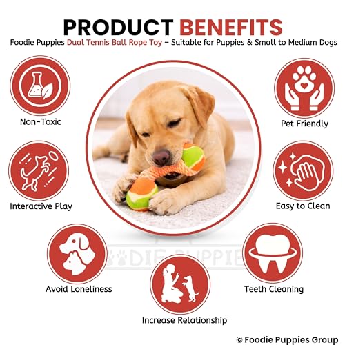 Image of Foodie Puppies Durable Cotton Rope Chew Toy for Dogs (Double Tennis Ball) | Chewing, Fetching, Playing, Teething & Training for Small to Medium Dogs & Puppies (Color May Vary)