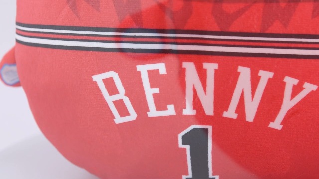 Amazon.com: Sleep Squad Chicago Bulls Benny The Bull 12
