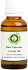 RV Essential Pure Psoralea Carrier Oil - Psoralea Corylifolia (100% Pure and Natural Cold Pressed) Pure Psoralea Carrier Oil