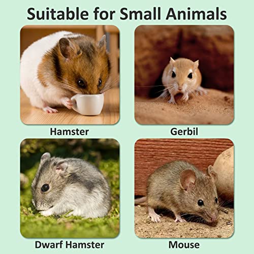 Bnosdm Hamster Wheel For Cage 6.3In Silent Spinner Gerbil Wheel Quiet Exercise Running Wheel For Dwarf Syrian Hamsters Mice Small Animals #TOP7