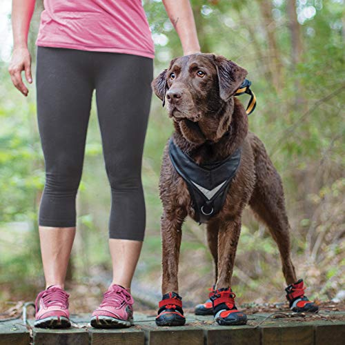 Kurgo Blaze Dog Boots - Protects Paws in All Seasons - Breathable...
