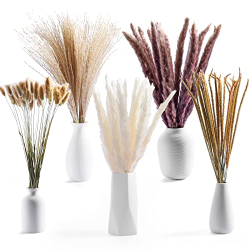 120Pcs Natural Dried Pampas Grass Bouquet Decor, Christmas Decorations,Boho Home Room Wedding Party Arrangements,Fall Dry Flowers Bundles Bulk Tall,Large White Reed,Bunny Tails,Artificial,Faux Plants #TOP1