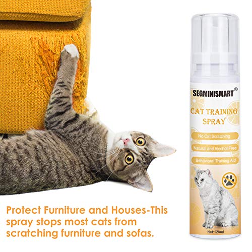 ** Top 5 Reviews ** Best Cat Scratch Deterrent Spray in 2022