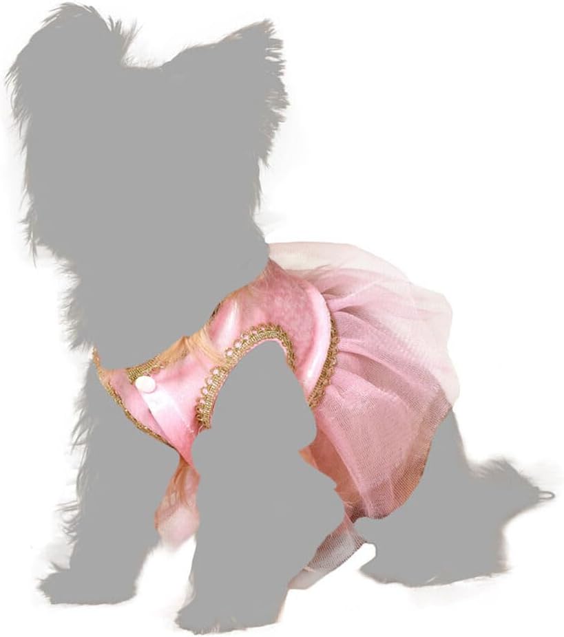 Large Ballet Dancer Dog Costume