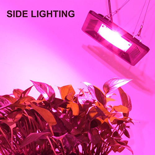 Image of Waterproof 100W LED Grow Light Full Spectrum, New Technology COB LED Grow Light, Natural Heat Dissipation Without Noise, Suitable for Plants All Growing Stage Indoor or Outdoor.