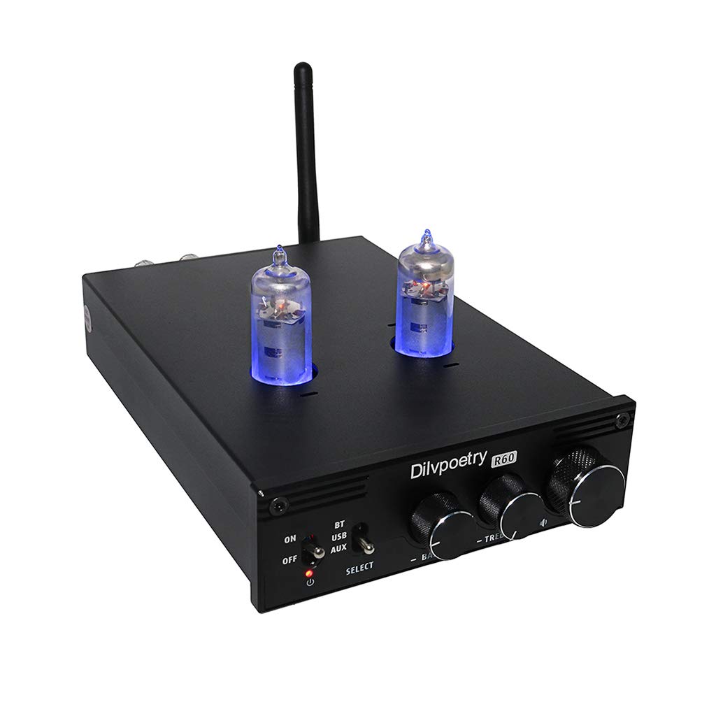 Buy Dilvpoetry R60 Bluetooth Vacuum Tube Amplifier 6K4 Valve Digital Power Amplifier