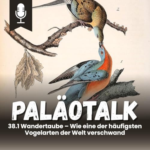 38.1 Wandertaube &ndash; Wie eine der h&auml;ufigsten Vogelarten der Welt verschwand