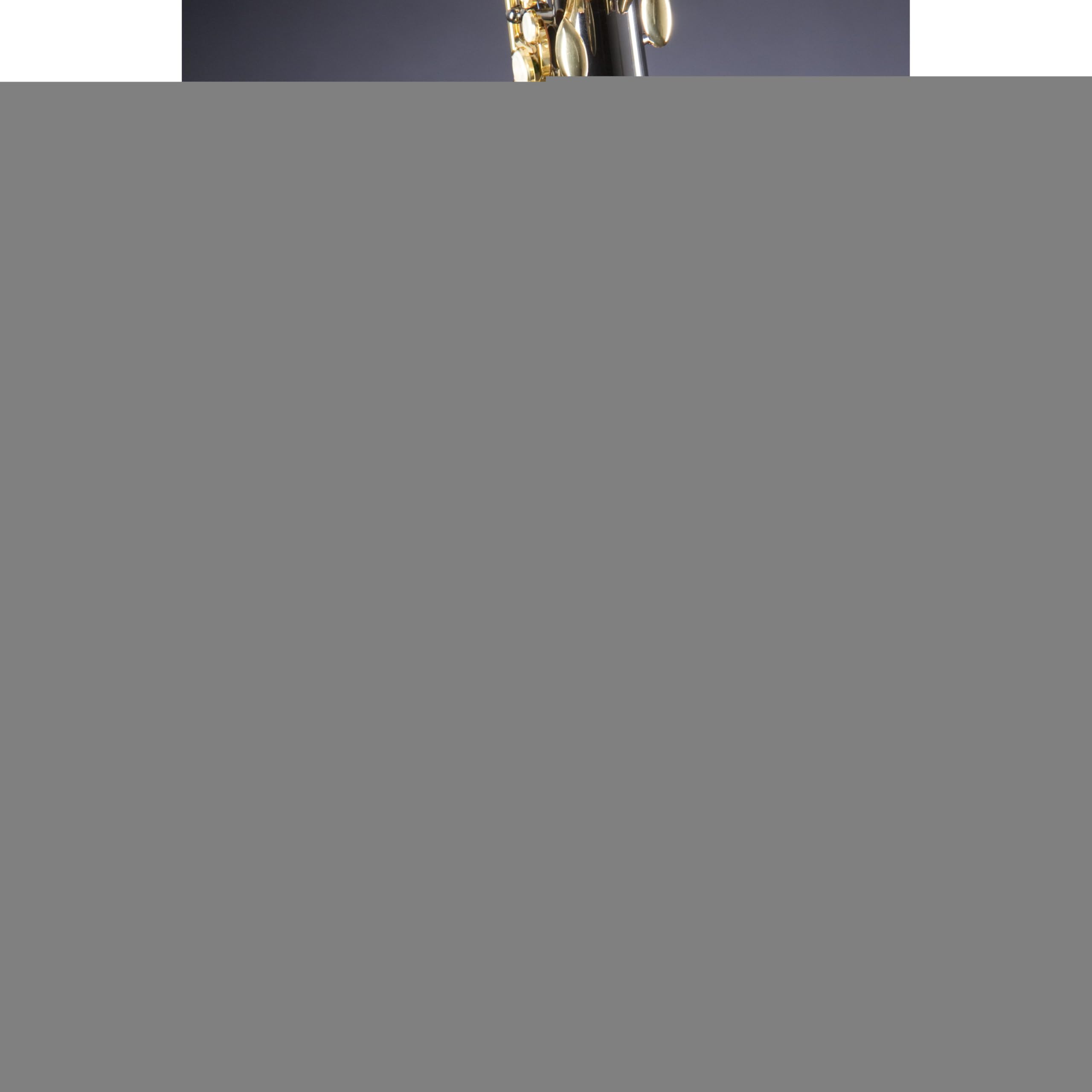 Monzani MZAS-333 Altsaxophon, Schwarz Lackiert, Messingkorpus, Inklusive Mundstück und Koffer, Rucksackvorrichtung, Gravur, Stimmung Eb, 2.62 kg, Ideal für Einsteiger und Zweitinstrument