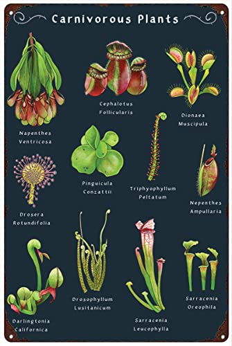 SHUTREW Retro Metal Tin Sign 8 X 6 Inches Carnivorous Plants Poster Insect Eating Wall Art Botanical Decor Plant Lover Gift Nostalgic Arts Novelty Decorative Crafts