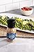 Olde Thompson California Garlic & Sea Salt Grinder, 8.8 Ounce