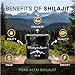 Semveta Pure Altai Shilajit Resin - 50g - Mountain Shilajit Nutrient Resin - Trace Minerals, Fulvic Acid - Tonic Vitamin for Vitality, Mental Clarity & Immune System Support - 6 Months Supply