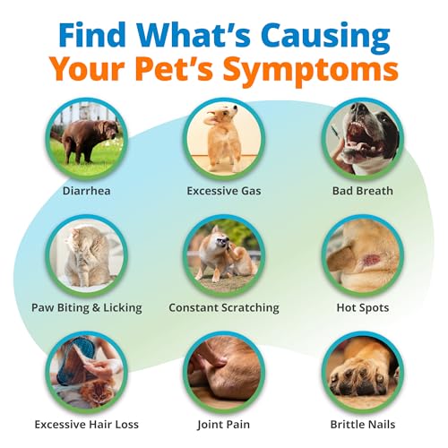 5Strands Pet Food Intolerance, Environmental & Heavy Metal Sensitivity, and Nutritional Imbalance Test, 1036 Items Tested, Cat & Dog Gut Health Test for All Breeds & Ages, Results in 4 Days - Image 4