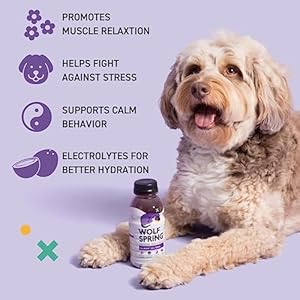 Wolf spring calming food topper 12 pack  dog anxiety relief  calming treats for dogs  natural food topper dog calming treats for anxiety  reduce anxious behavior  promote relaxation   cucciolini doodles