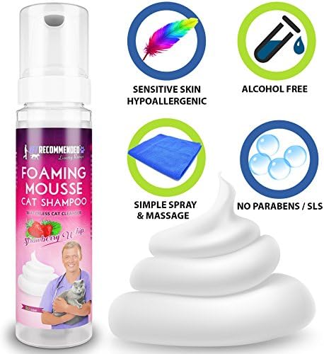 dry shampoo for cats petsmart