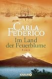 Im Land der Feuerblume (Die Chile-Trilogie, Band 1) - Carla Federico 