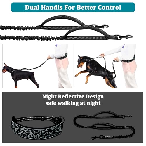 Philorn Joggingleine Hunde, Freihändig Laufleine, Bauchgurt Hundeleine zum Joggen Laufen Wandern mit Dual Griffe, Reflektierende Nähte (Schwarz)