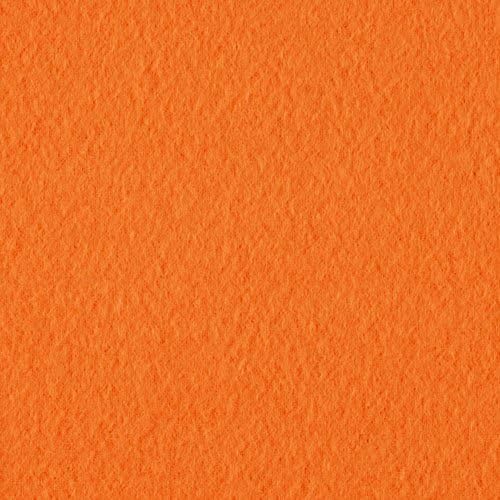 Wintry Fleece Orange Fabric