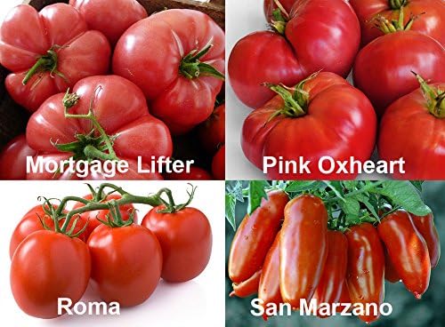 Miniatura 4 de Esta es una mezcla de 30 semillas de tomate de lujo, mezcla de 16 variedades, reliquia sin OMG, indeterminado, antiguo alemán, rayas de chocolate,