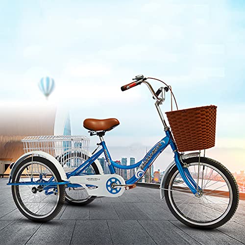 Bicicleta Tres Ruedas para Exteriores, Triciclo para Adultos, una Sola Velocidad, diseño Tramo bajo, híbrida, Carga, con Cesta para IR Compras o para pasear Perros.