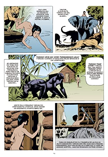 Tarzan – A era de Russ Manning