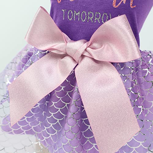 Fitwarm Mermaid Today Unicorn Tomorrow Dog Tulle Dress, Sparkly Dog Clothes For Small Dogs Girl, Pet Beach Costume, Cat Summer Outfit, Lavender Purple, Medium #TOP3