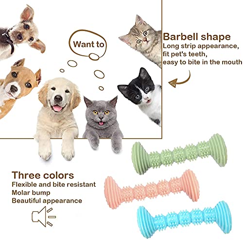 Hundespielzeug Kauspielzeug für Kleine und Mittlere Hunde - Hundezahnbürste Zahnpflege Zahnreinigung - Welpen Zahnen Kauen Spielzeug 3 Stück