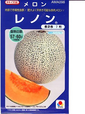 メロン 妃 春秋系[メロン] - e-種や｜国内最大級の野菜種・花種・苗