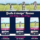 Eukanuba Welpenfutter getreidefrei mit Fisch für große Rassen - Trockenfutter ohne Getreide für Junior Hunde, 12 kg