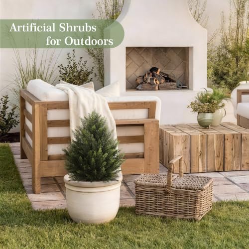 Image of Vitalismo 2FT Artificial Cedar Trees Set of 2 for Outdoor Front Porch