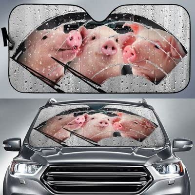 Pare-soleil avant imperméable pour voiture et camion avec protection intérieur universelle