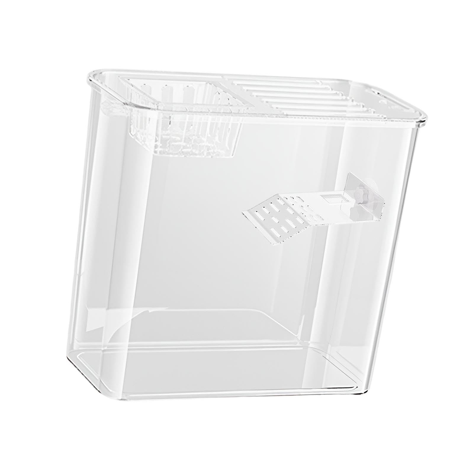 Aquarium pour tortues, terrarium créatif pour tortues, aquariums | transparents pour tortues d'eau et de terre, aquarium pour tortues et poissons