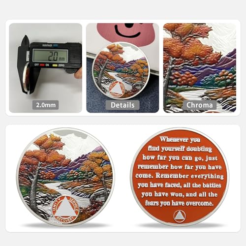 Image of Imasoner 9 Month Sobriety Coin, Autumn Seasons AA Medallion Recovery Chip