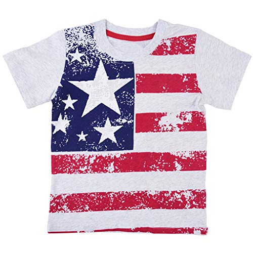 2019 4th of July Sweatshirt Tee Clothes Set for 1-6T Little Kids Toddler Baby Girls Boys Stars and Stripes Print Short Sleeve T-Shirt Pullover Tops (Gray, 2-3 Years Old)