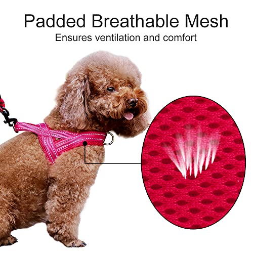 Image of Plutus Pet No Pull Dog Harness for Large Dogs, Breathable Mesh Padded