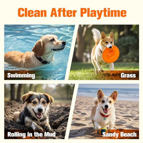 Vet Recommended Ear Wipes For Dogs