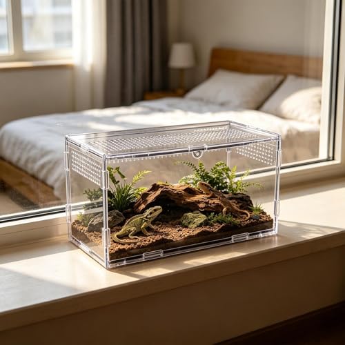 Maison pour araignées sauteuses transparente pour sécuriser l'élevage - 3