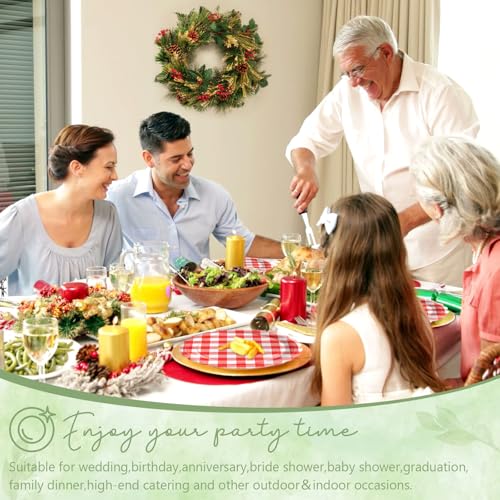 Image of 100 Pcs Red Gingham Paper Plates Disposable Set for Picnic, 25-9 inch&25-7 inch
