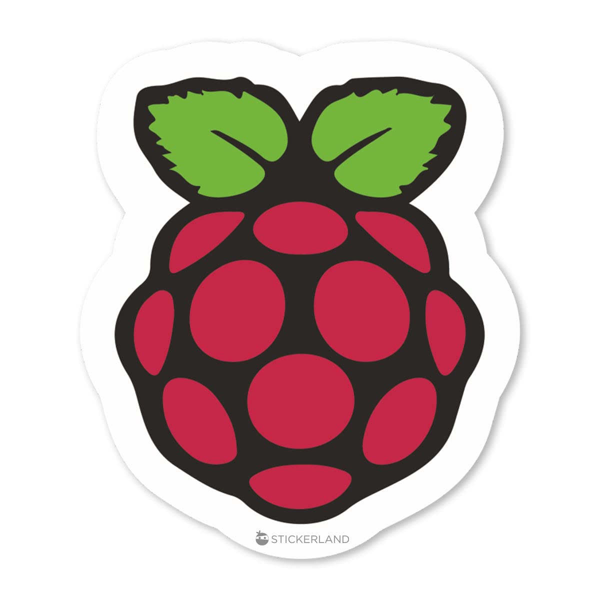 Stickerland India Rasberry Pi Sticker 5.5x6.5 CM (Pack of 1) (B08JH4YV2Y) Amazon Price History, Amazon Price Tracker