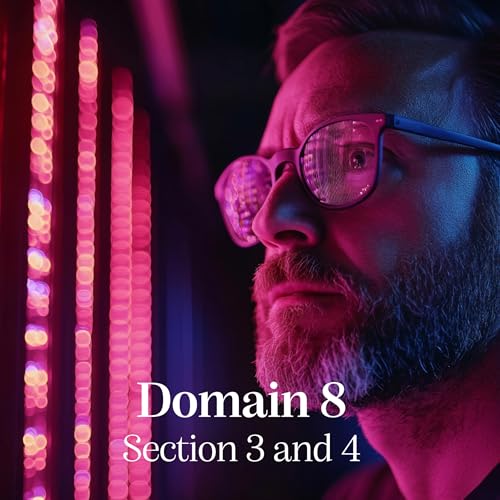 『CISSP Domain8 Section 3 and 4』のカバーアート