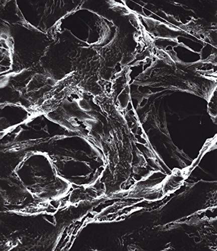 Merck Millipore FHLC01300 LCR - Filtro de membrana (0,45 μm, poros, 13 mm de diámetro, 100 unidades) Cover