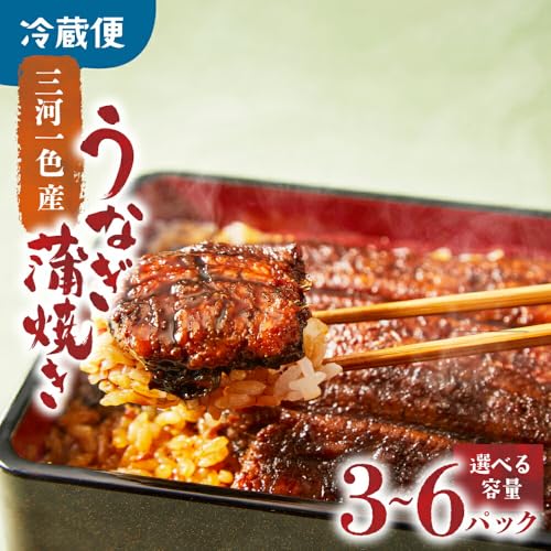 3パック 3代目が焼く蒲焼き真空パック